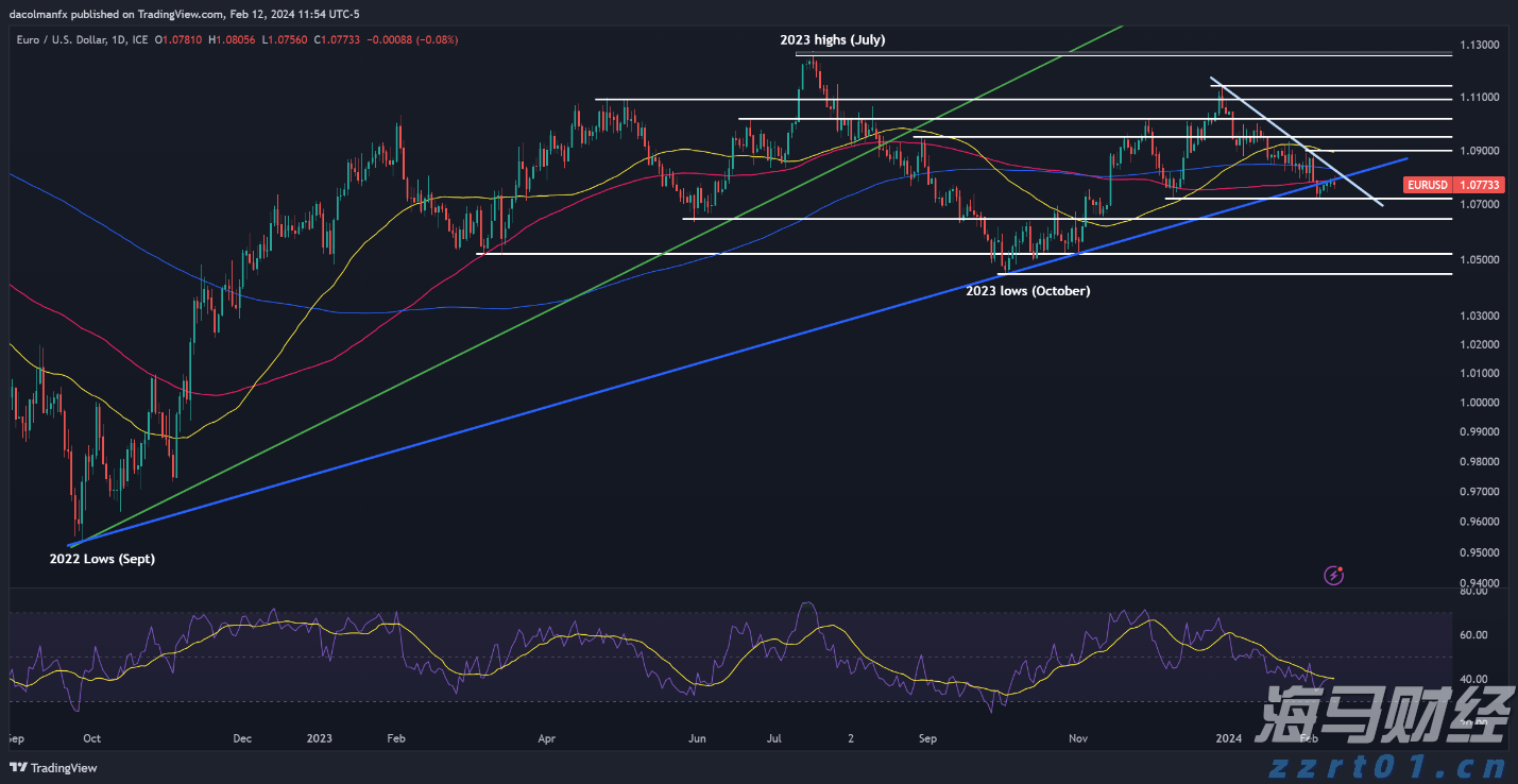 梅州海关供港澳活猪远程检疫监装模式正式启动