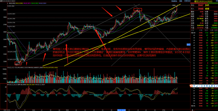 今天下午，中山全市将开展爱国卫生运动统一行动
