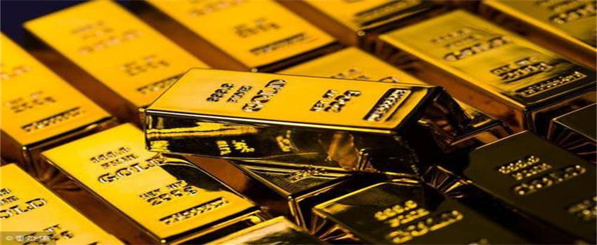 内地与港澳15所高校和科研机构共同发起!生命科学开放联盟成立